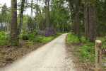 Natuurbegraafplaats Christinalust